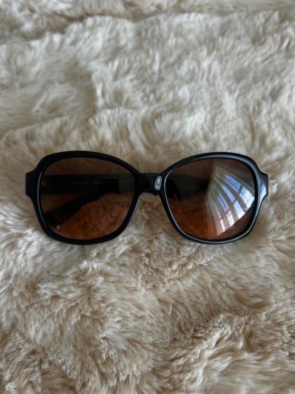 COACH Barbara HC 8099 Black Oversized Square Sunglasses